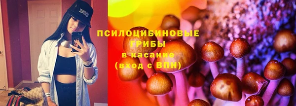 трава Переславль-Залесский