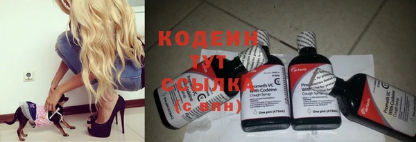 прущая мука Верея