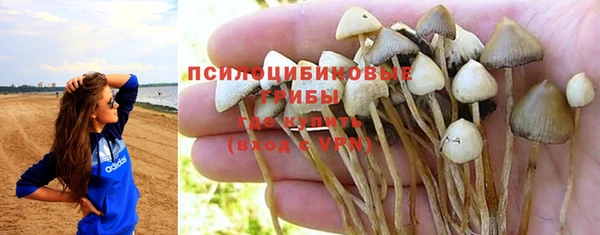прущая мука Верея